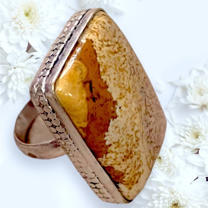 2/$50 Brown Natural Gemstone stone ring 925‎ Sterling Silver Size 6.5